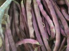 赤峰京香地下超市電話號(hào)碼