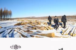 赤峰壩上旅行團(tuán)電話號碼是多少