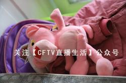 赤峰賣玩具推薦店電話號(hào)碼