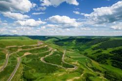 赤峰種植雞心果基地電話號(hào)碼