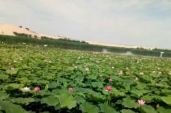 赤峰烏丹荷花住宿電話號碼