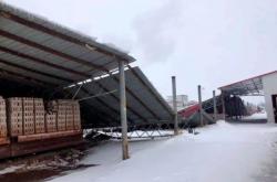 赤峰防滑地毯專賣店電話號(hào)碼