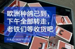 赤峰機場空運寵物電話是多少號