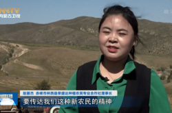 赤峰新城托管中心電話號(hào)碼查詢