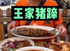 赤峰探店豬蹄電話號(hào)碼查詢