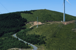 赤峰張百昌診所配藥電話