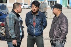 赤峰賣鴿子市場電話號碼多少