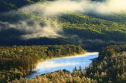 赤峰馬蘭供應(yīng)商電話地址查詢