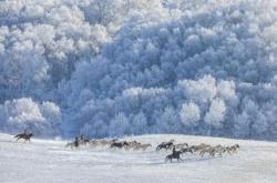 赤峰哪有染衣店啊電話地址多少