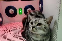 赤峰元吉寵物店電話號碼