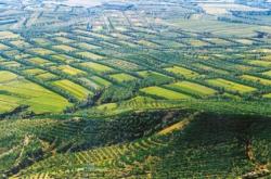 赤峰市太平地醫(yī)院電話號(hào)碼