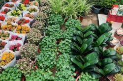 赤峰房屋收拾電話多少號(hào)