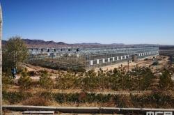 赤峰親子農(nóng)場加盟電話多少號