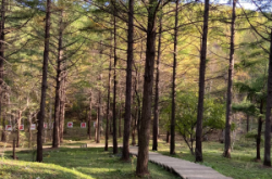 赤峰狗狗寄養(yǎng)酒店電話號(hào)碼多少