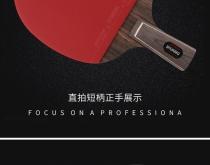 赤峰乒乓球拍店電話號碼