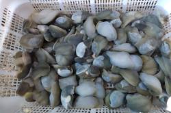 赤峰二龍燒烤地址電話號碼