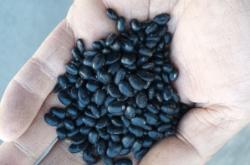 赤峰出售山坡地磚電話號碼