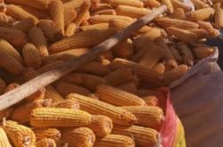 赤峰阿旗烤鵝店電話號(hào)碼