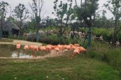 赤峰市海龍家庭牧場電話號碼