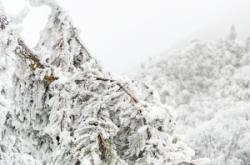 赤峰長(zhǎng)勝農(nóng)行電話號(hào)碼多少