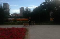 赤峰繁花體驗(yàn)館電話號(hào)碼查詢