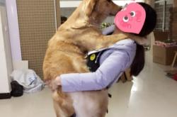 赤峰狗狗走丟電話多少號(hào)