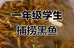 赤峰賣黑魚苗的電話地址是多少