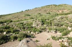 赤峰蒙帝酒館電話號(hào)碼多少