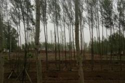 赤峰到大碾子的班車(chē)電話號(hào)碼