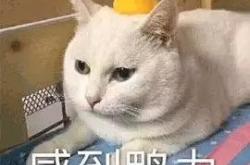 赤峰同城相親群電話號碼查詢