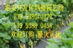 赤峰果樹飲料公司簡介電話號碼