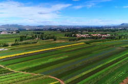 赤峰市種兔廠地址電話號碼
