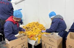 赤峰稻草糧倉廠家電話地址查詢