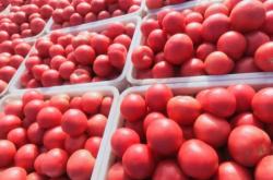 赤峰苯板加工廠電話號碼