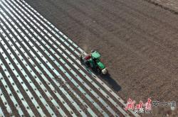 赤峰裕隆玉米制種場電話號碼