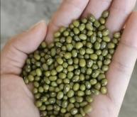 赤峰綠豆產業(yè)園電話地址查詢