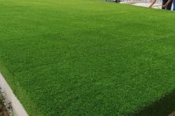 赤峰平莊草坪廠電話地址查詢