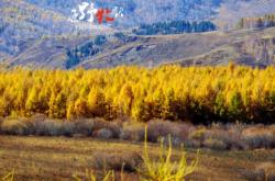 赤峰閑庭旅游景點電話號碼