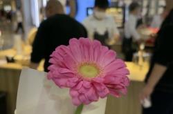 赤峰敖漢寵物市場電話號碼