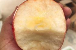 赤峰寧城嘎啦果園電話多少號(hào)