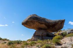 赤峰大鵬漁人碼頭電話地址查詢