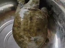 赤峰市水產(chǎn)批發(fā)