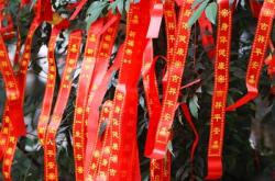 赤峰大樹彩帶廠電話多少號