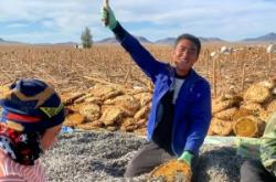 赤峰人收瓜子電話是多少號