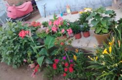 赤峰王家店社區(qū)電話號碼是多少