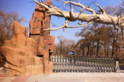 唐山到赤峰客運電話號碼是多少