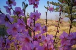 赤峰紅山區(qū)大牧場(chǎng)電話號(hào)碼