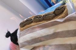 赤峰安灸堂中醫(yī)診所電話號(hào)碼