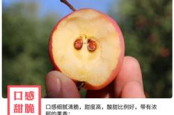 赤峰市沙果采摘園電話號碼