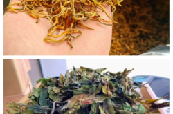 赤峰茗雅茶樓電話號(hào)碼多少